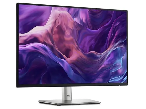 Dell  24" WUXGA LED, IPS Anti-Glare, 5ms, 100 Hz, 1500:1, 300 cd/m2, 1920x1200, 99% sRGB, USB-C, 4xUSB 3.2 - P2425E