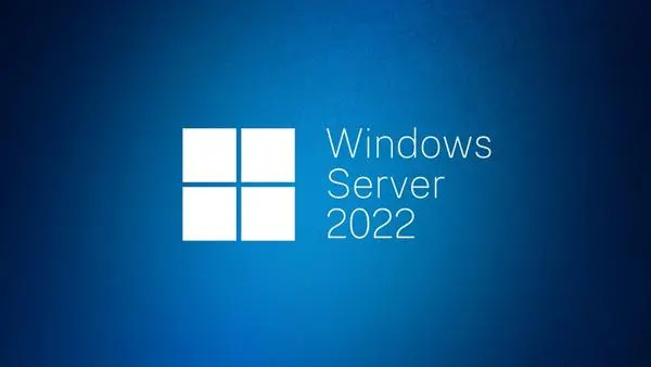 Windows Server CAL 2022 English 1pk DSP OEI 1 Clt Device CAL - R18-06412