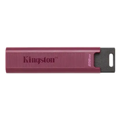 KINGSTON256GB USB3.2 DTMAXA
