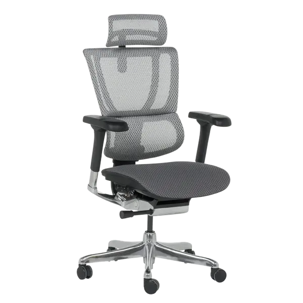 Ергономичен стол ERGOHUMAN IOO ELITE 2 - черна рамка - сив