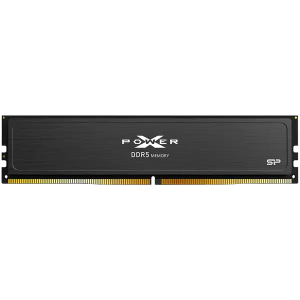 Silicon Power D5XN 32GBx1, DDR5-6000,C38,OC-UDIMM,(2Gx8 DR),w/HS-K - SP032GXLWU60BFSJ
