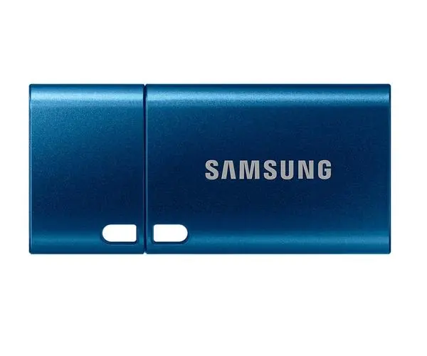 Samsung 256 GB Flash Drive, Read 400 MB/s, USB-C 3.2 Gen 1, Water-proof, Magnet-proof, X-ray-proof, Blue - MUF-256DA/APC