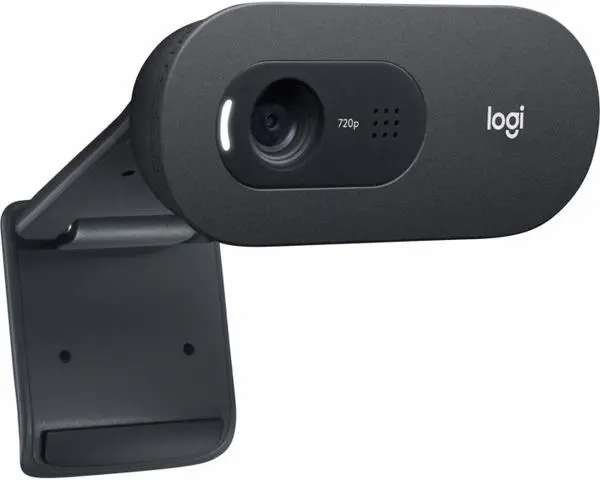 Logitech C505e, микрофон 960-001372