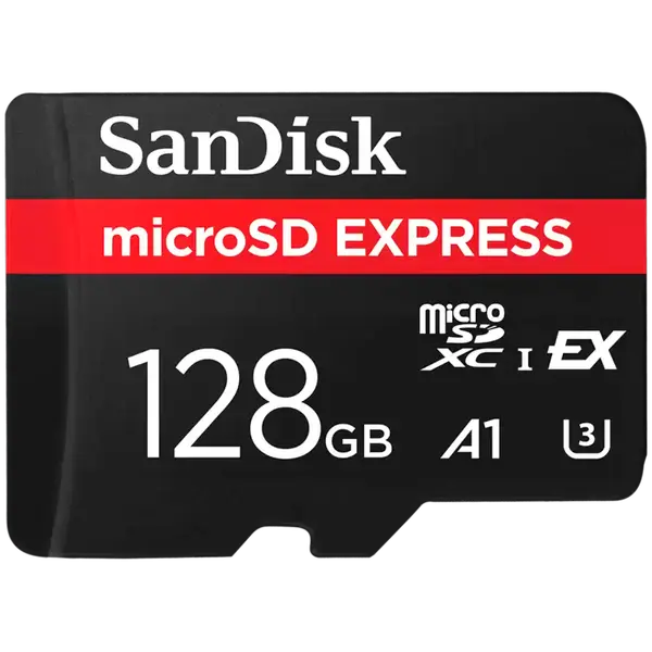 SANDISK Express microSD Card, 256GB - SDSQXFN-256G-GN4NN