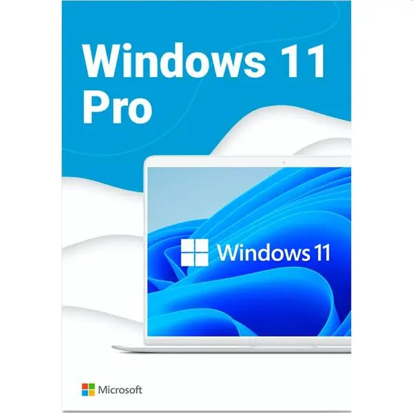 Microsoft Windows Pro 11 64-bit Eng Intl USB RS - HAV-00163