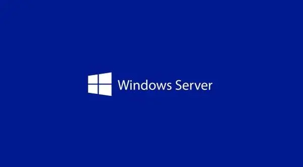 Windows Svr Std 2025 English 1pk DSP OEI 4Cr NoMedia/NoKey (APOS) AddLic - EP2-25369