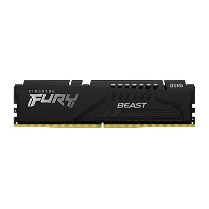 32G DDR5 6000 KING EXPO BEAST