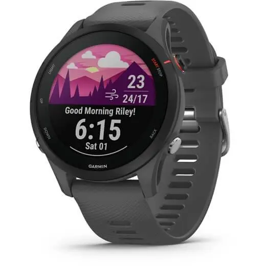 Garmin Forerunner 255 -  Forerunner 255, Slate Gray -  010-02641-10