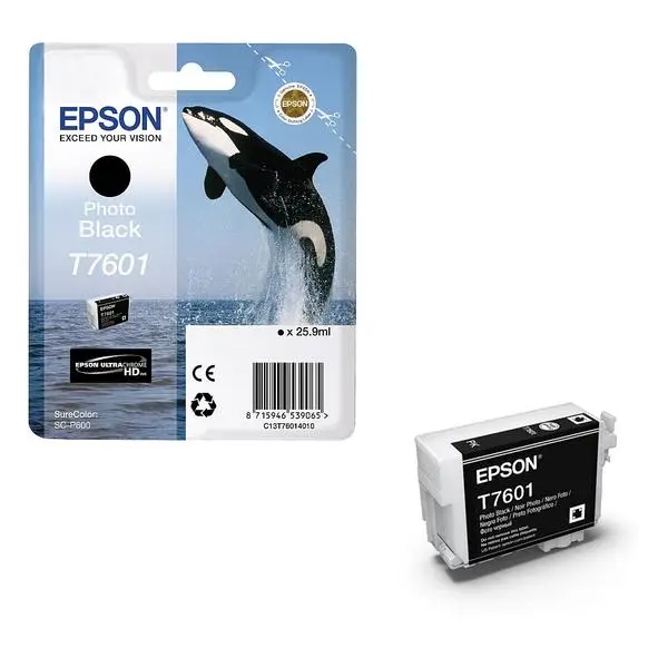 Epson T7601 Photo Black - C13T76014010