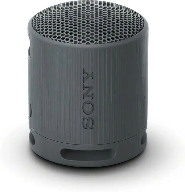 Sony SRS-XB100 Portable Bluetooth Speaker, black - SRSXB100B.CE7