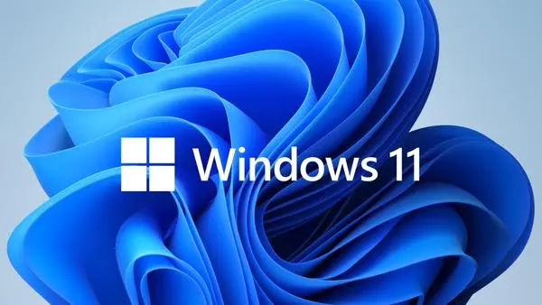 Microsoft Windows 11 Pro GGK 64Bit Eng Intl 1pk DSP ORT OEI DVD - 4YR-00316